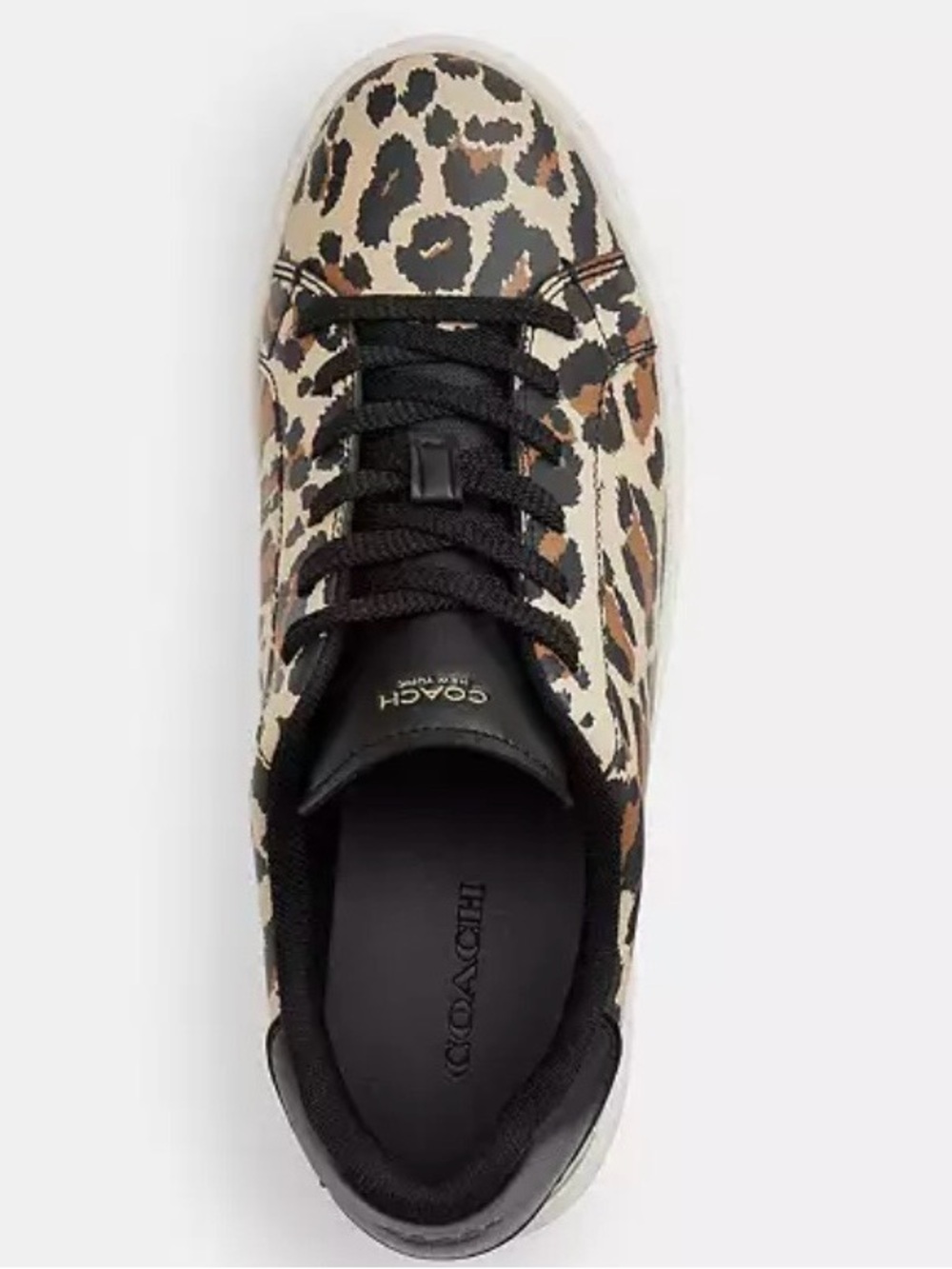 Coach High Line Sneakers - Picture 3 of 6
